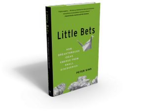 Peter Sims Little Bets Book